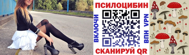 наркота Артёмовск Псилоцибиновые грибы Cubensis